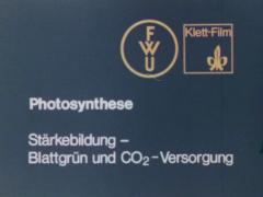 Photosynthese. Stärkebildung – Blattgrün und CO2-Versorgung