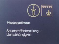 Photosynthese. Sauerstoffentwicklung – Lichtabhängigkeit