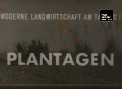 Plantagen. Moderne Landwirtschaft im Taurus I