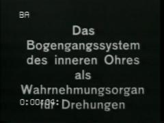Das Bogengangsystem des inneren Ohres als Wahrnehmungsorgan für Drehungen