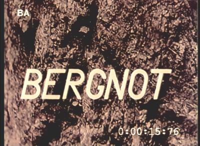 Bergnot