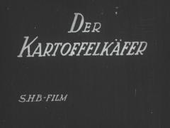 Der Kartoffelkäfer