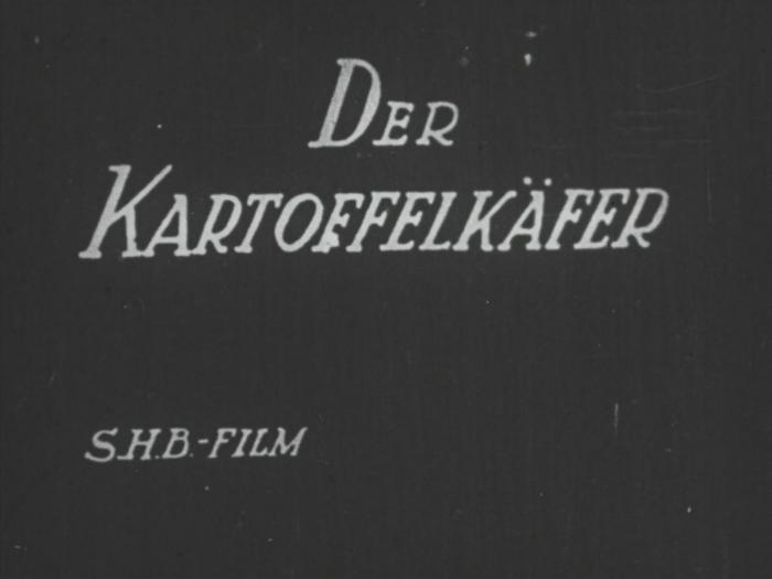 Der Kartoffelkäfer
