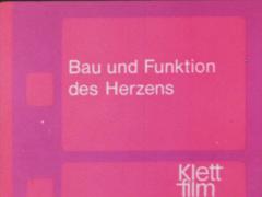 Bau und Funktion des Herzens