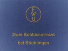 Zwei Schlüsselreize bei Stichlingen