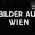 Bilder aus Wien