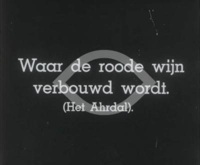 Wo der Rote Wein wächst