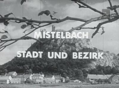 Mistelbach: Stadt und Bezirk