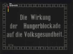 Die Wirkung der Hungerblockade auf die Volksgesundheit