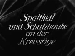 Spaltkeil und Schutzhaube an der Kreissäge.