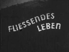 Fließendes Leben