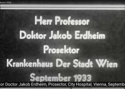 Herr Professor Doktor Jakob Erdheim Prosektor Krankenhaus Der Stadt Wien September 1933