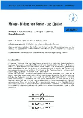 Meiose – Bildung von Samen- und Eizellen [Begleitmaterial]