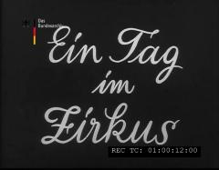 Ein Tag im Zirkus