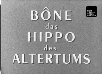 Bône – das Hippo des Altertums