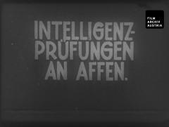 Intelligenzprüfungen an Affen