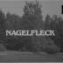 Nagelfleck